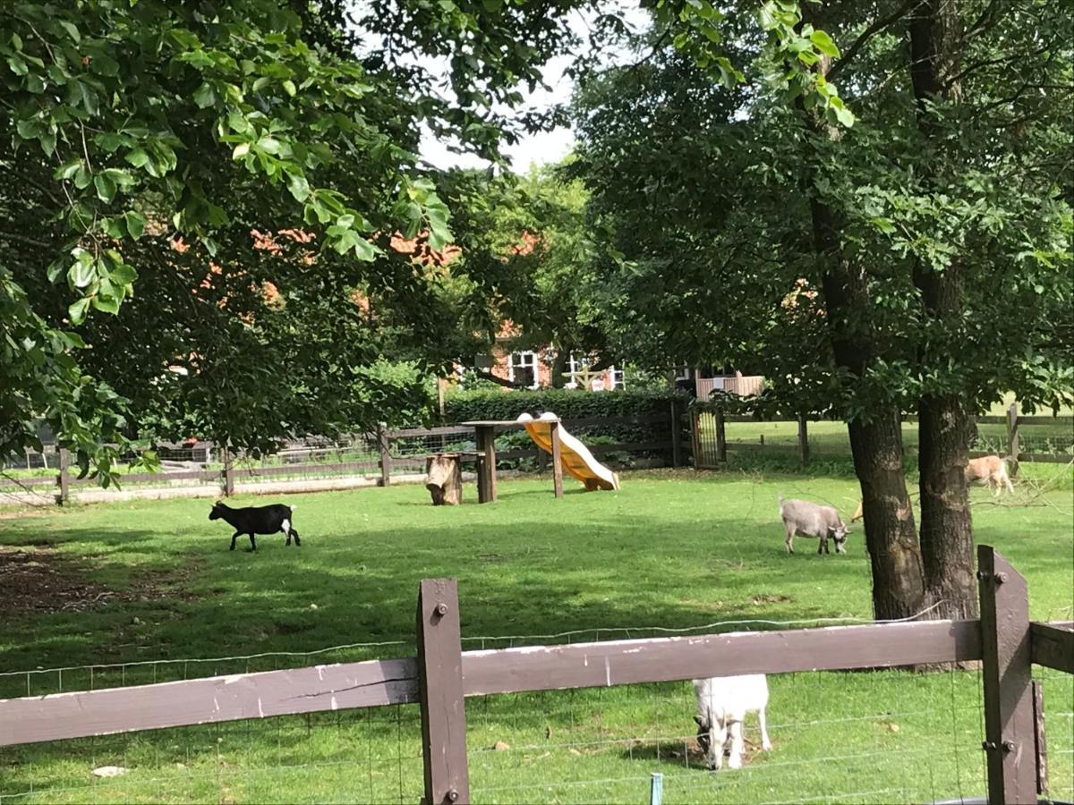 Familiehuis Boysen Appartementen Ribe Bagian luar foto