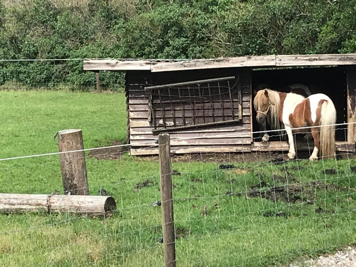 Familiehuis Boysen Appartementen Ribe Bagian luar foto