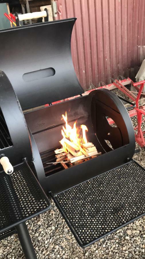 Familiehuis Boysen Appartementen Ribe Bagian luar foto